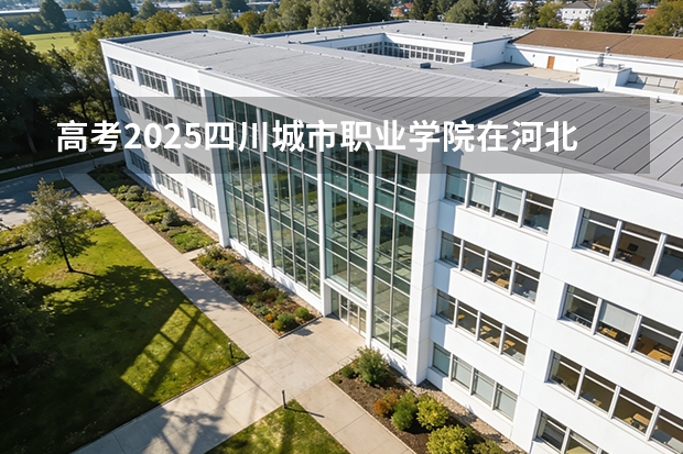 高考2025四川城市职业学院在河北艺术类投档分数线（2026参考）