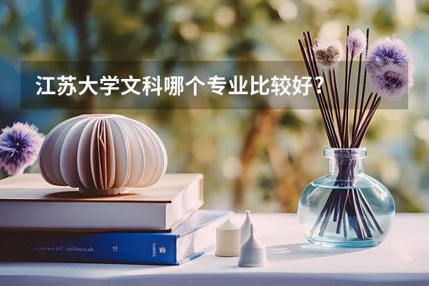 江苏大学文科哪个专业比较好?