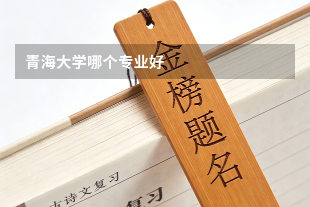 青海大学哪个专业好