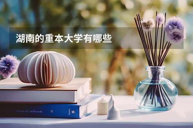 湖南的重本大学有哪些