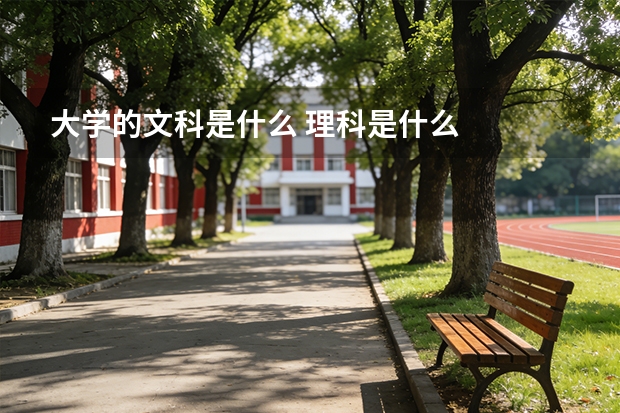 大学的文科是什么 理科是什么