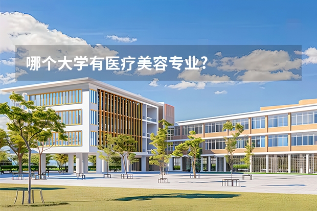哪个大学有医疗美容专业?
