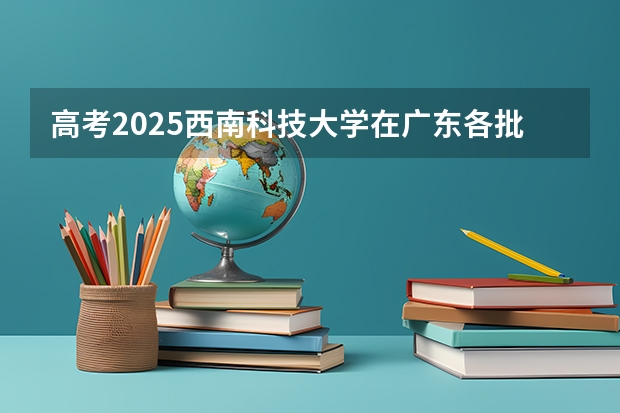 高考2025西南科技大学在广东各批次选科要求（2026参考）