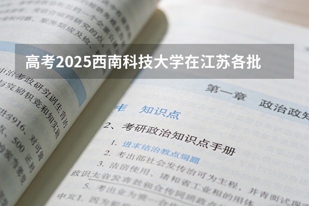 高考2025西南科技大学在江苏各批次选科要求（2026参考）