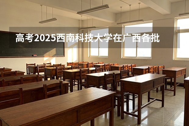 高考2025西南科技大学在广西各批次选科要求（2026参考）