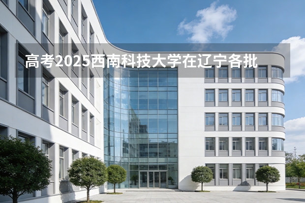 高考2025西南科技大学在辽宁各批次选科要求（2026参考）