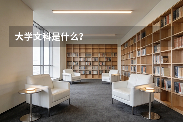 大学文科是什么？