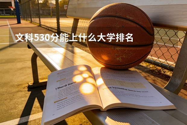 文科530分能上什么大学排名