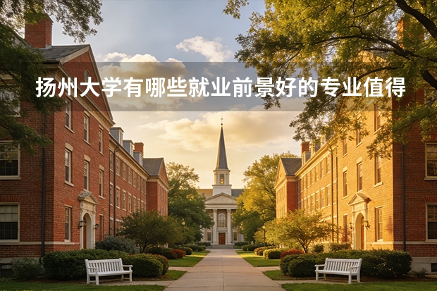 扬州大学有哪些就业前景好的专业值得就读？