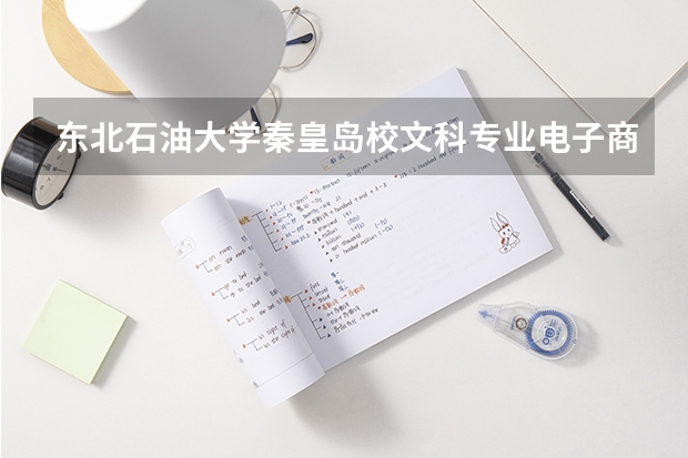 东北石油大学秦皇岛校文科专业电子商务能升本吗