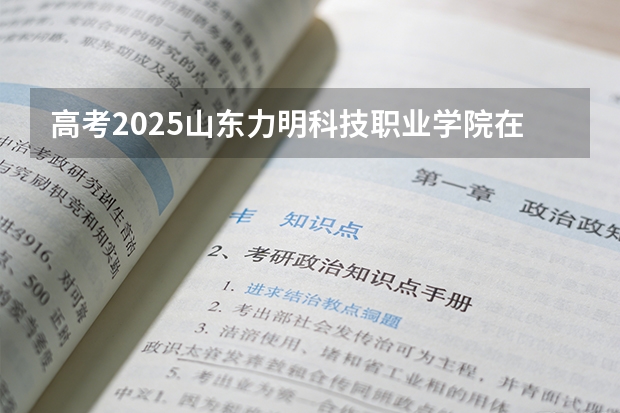 高考2025山东力明科技职业学院在山东艺术类投档分数线（2026参考）