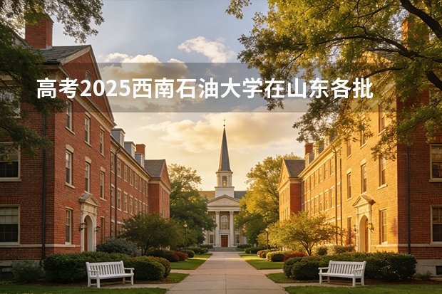 高考2025西南石油大学在山东各批次选科要求（2026参考）