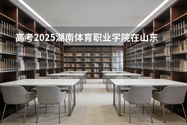 高考2025湖南体育职业学院在山东艺术类投档分数线（2026参考）