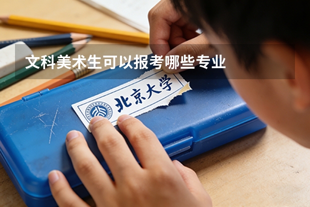 文科美术生可以报考哪些专业