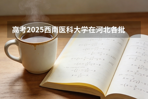 高考2025西南医科大学在河北各批次选科要求（2026参考）