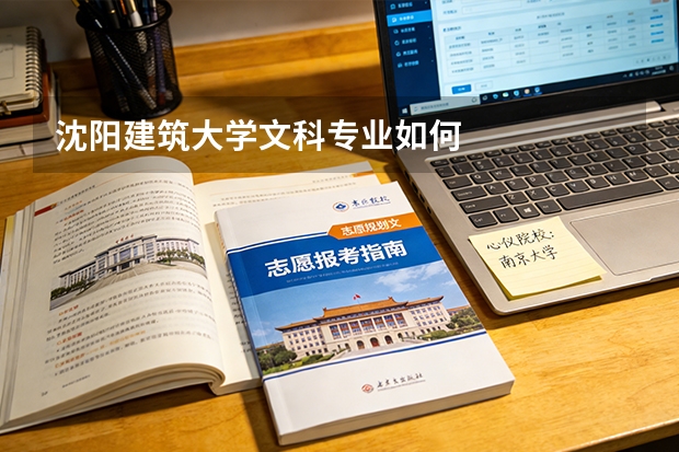 沈阳建筑大学文科专业如何