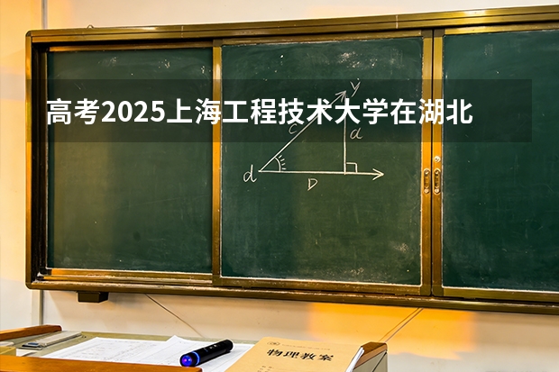 高考2025上海工程技术大学在湖北投档分数线（2026参考）