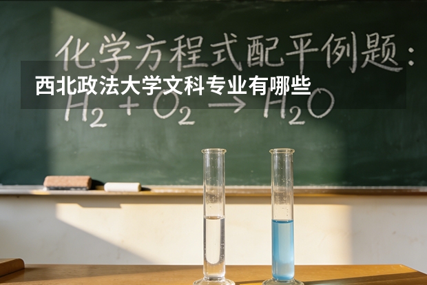 西北政法大学文科专业有哪些