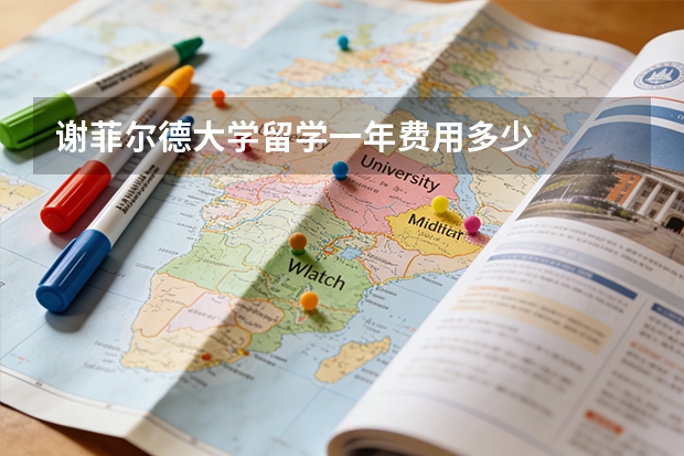 谢菲尔德大学留学一年费用多少