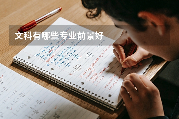 文科有哪些专业前景好