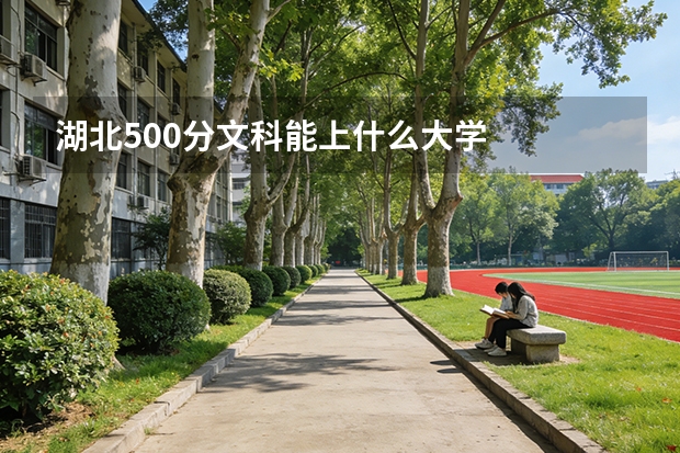 湖北500分文科能上什么大学