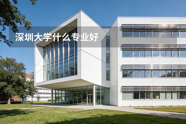 深圳大学什么专业好