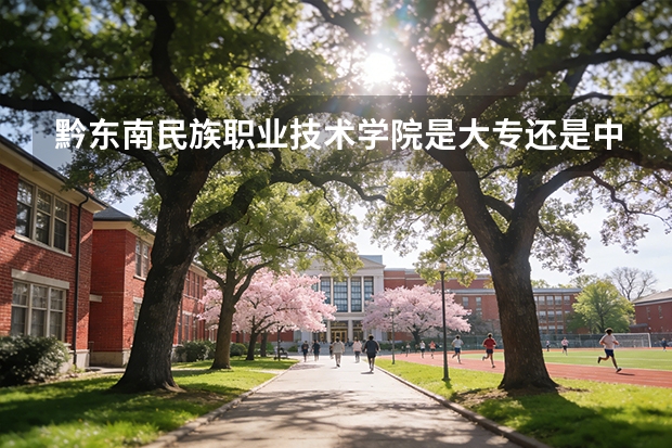 黔东南民族职业技术学院是大专还是中专（口腔医学分数低的大学）
