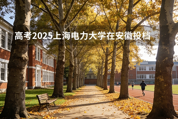 高考2025上海电力大学在安徽投档分数线（2026参考）
