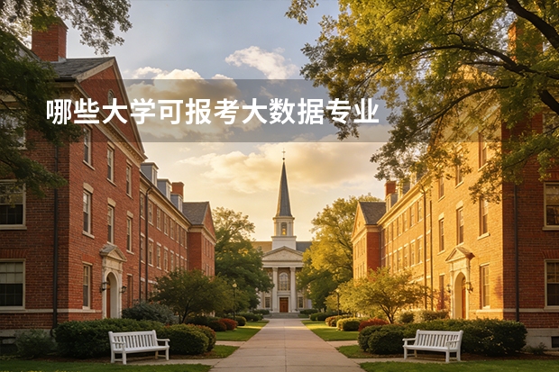 哪些大学可报考大数据专业