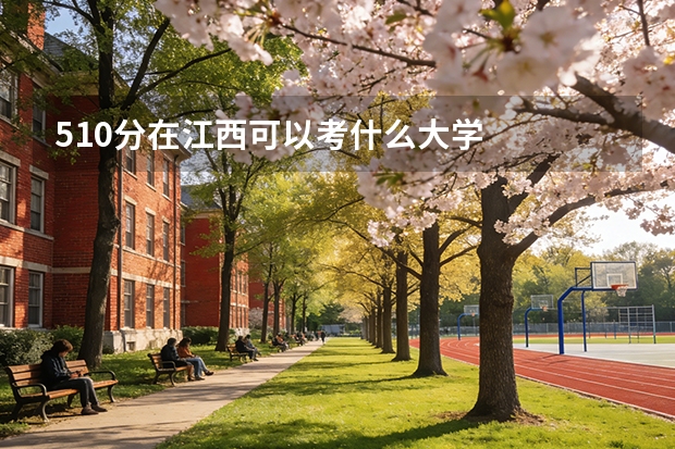 510分在江西可以考什么大学