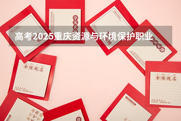 高考2025重庆资源与环境保护职业学院在河北艺术类投档分数线（2026参考）