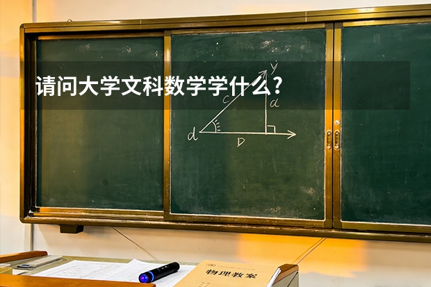 请问大学文科数学学什么?