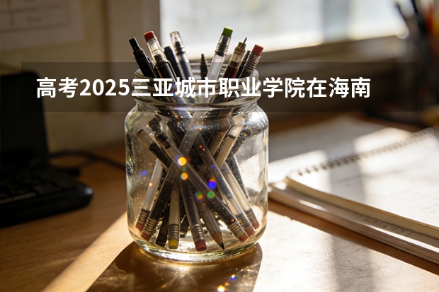 高考2025三亚城市职业学院在海南艺术类投档分数线（2026参考）