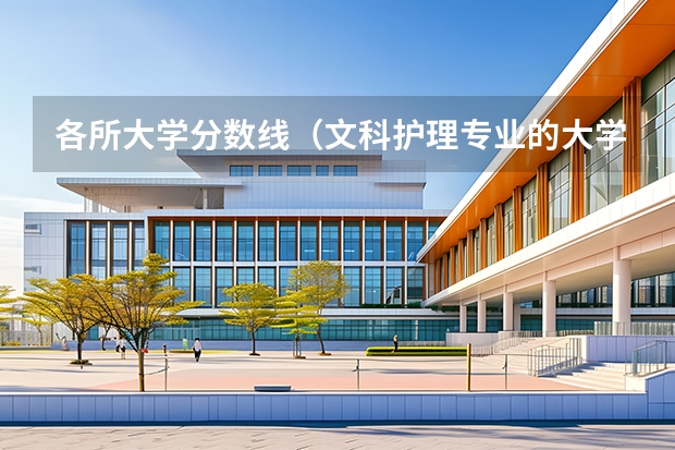 各所大学分数线（文科护理专业的大学及分数线）