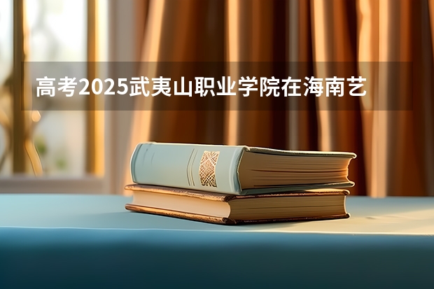 高考2025武夷山职业学院在海南艺术类投档分数线（2026参考）