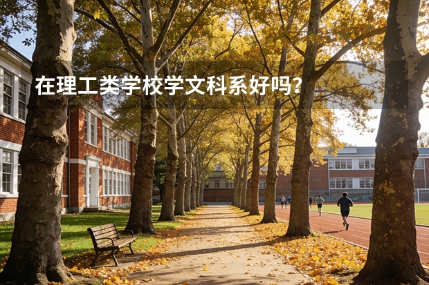 在理工类学校学文科系好吗？
