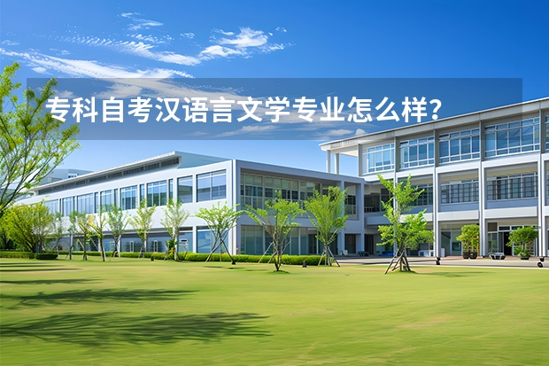 专科自考汉语言文学专业怎么样？