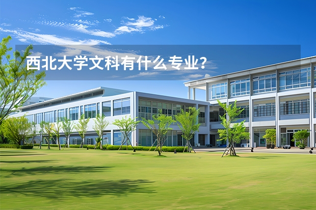 西北大学文科有什么专业？