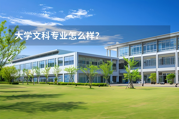 大学文科专业怎么样？