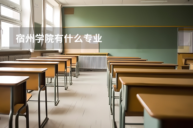 宿州学院有什么专业