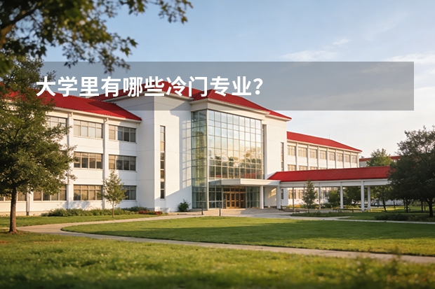 大学里有哪些冷门专业？