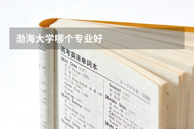 渤海大学哪个专业好