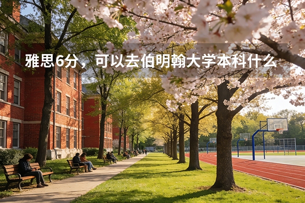 雅思6分，可以去伯明翰大学本科什么专业？