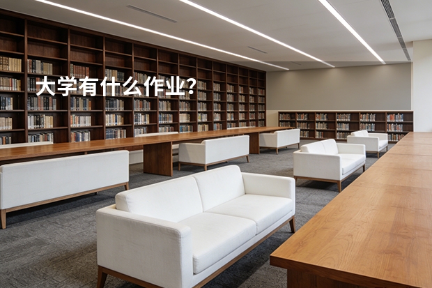 大学有什么作业?