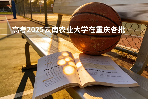 高考2025云南农业大学在重庆各批次选科要求（2026参考）
