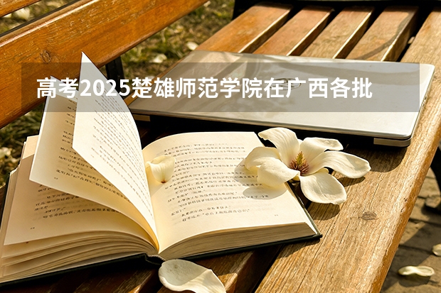 高考2025楚雄师范学院在广西各批次选科要求（2026参考）