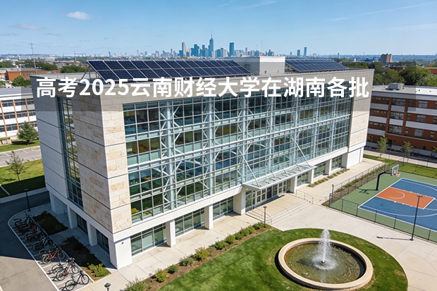 高考2025云南财经大学在湖南各批次选科要求（2026参考）