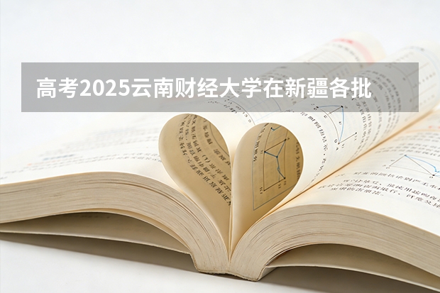 高考2025云南财经大学在新疆各批次选科要求（2026参考）