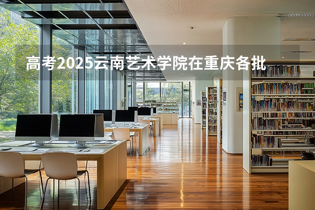 高考2025云南艺术学院在重庆各批次选科要求（2026参考）
