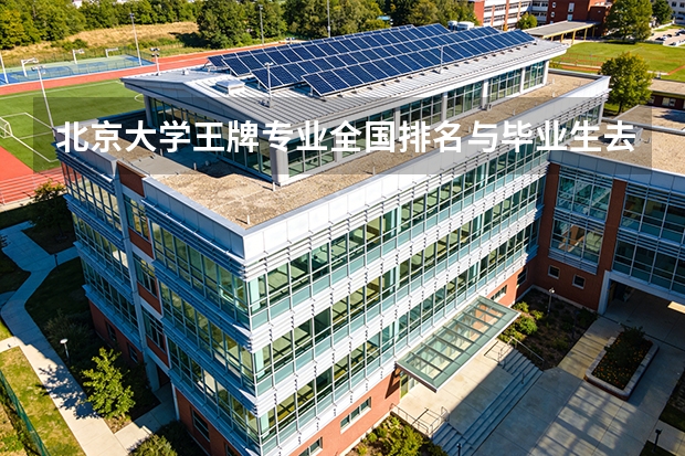 北京大学王牌专业全国排名与毕业生去向：2026年分数参考